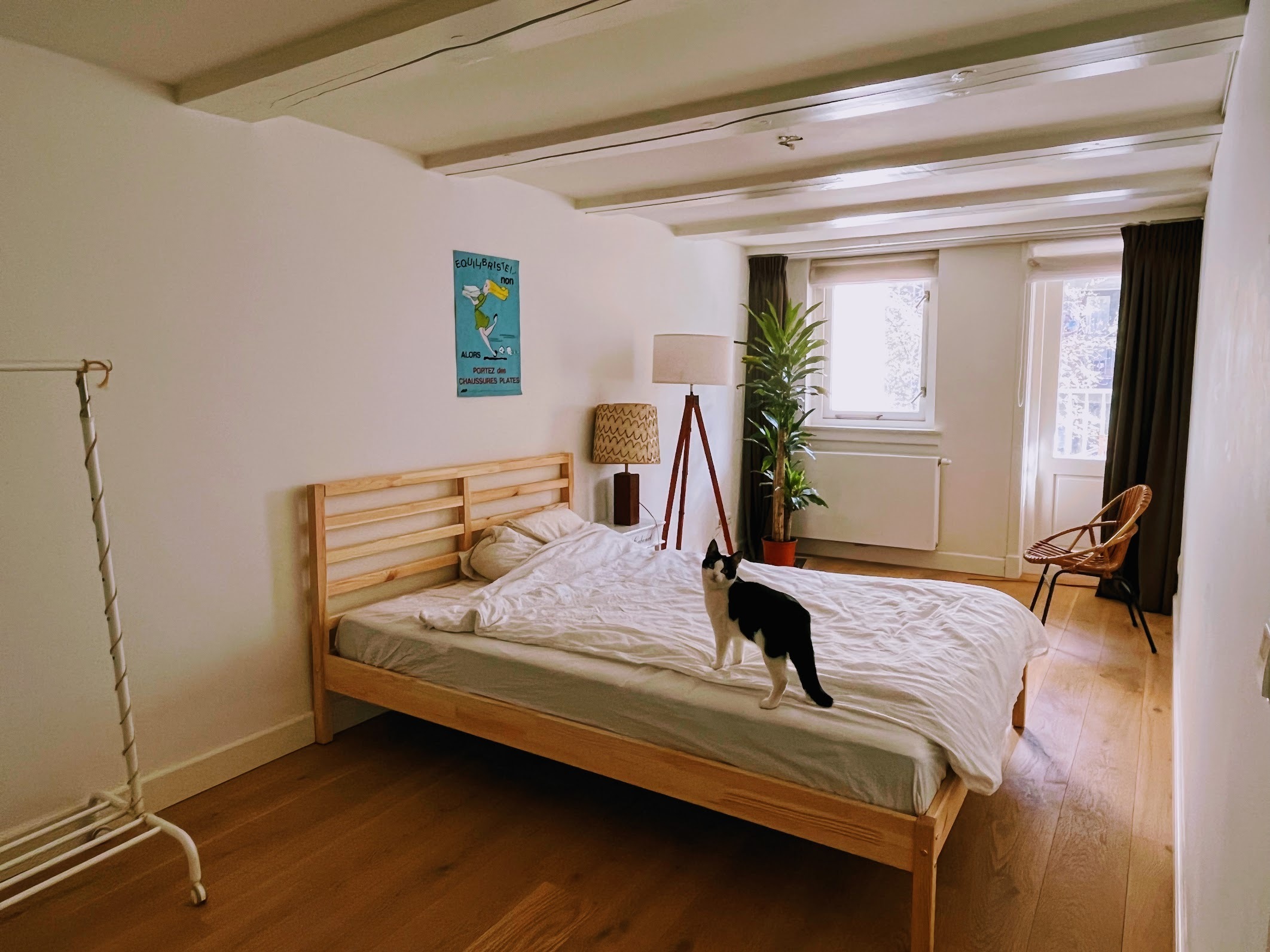 TEMPORARY ROOM AVAILABLE IN BIG HOUSE